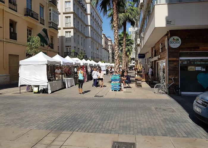 Fan Rooms Duquesa Malaga